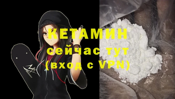 дмт Бикин