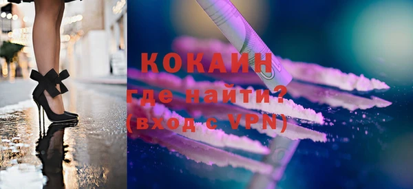 дмт Бикин