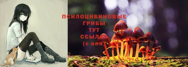 мет Билибино