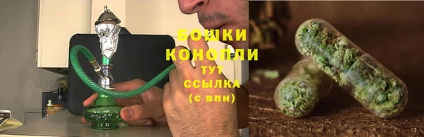 стаф Бежецк