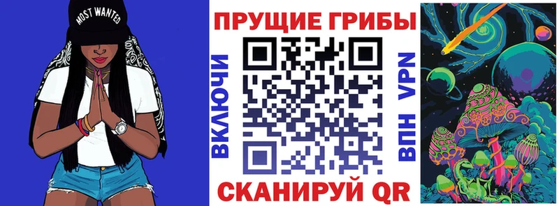 Галлюциногенные грибы Cubensis  продажа наркотиков  Ивангород 